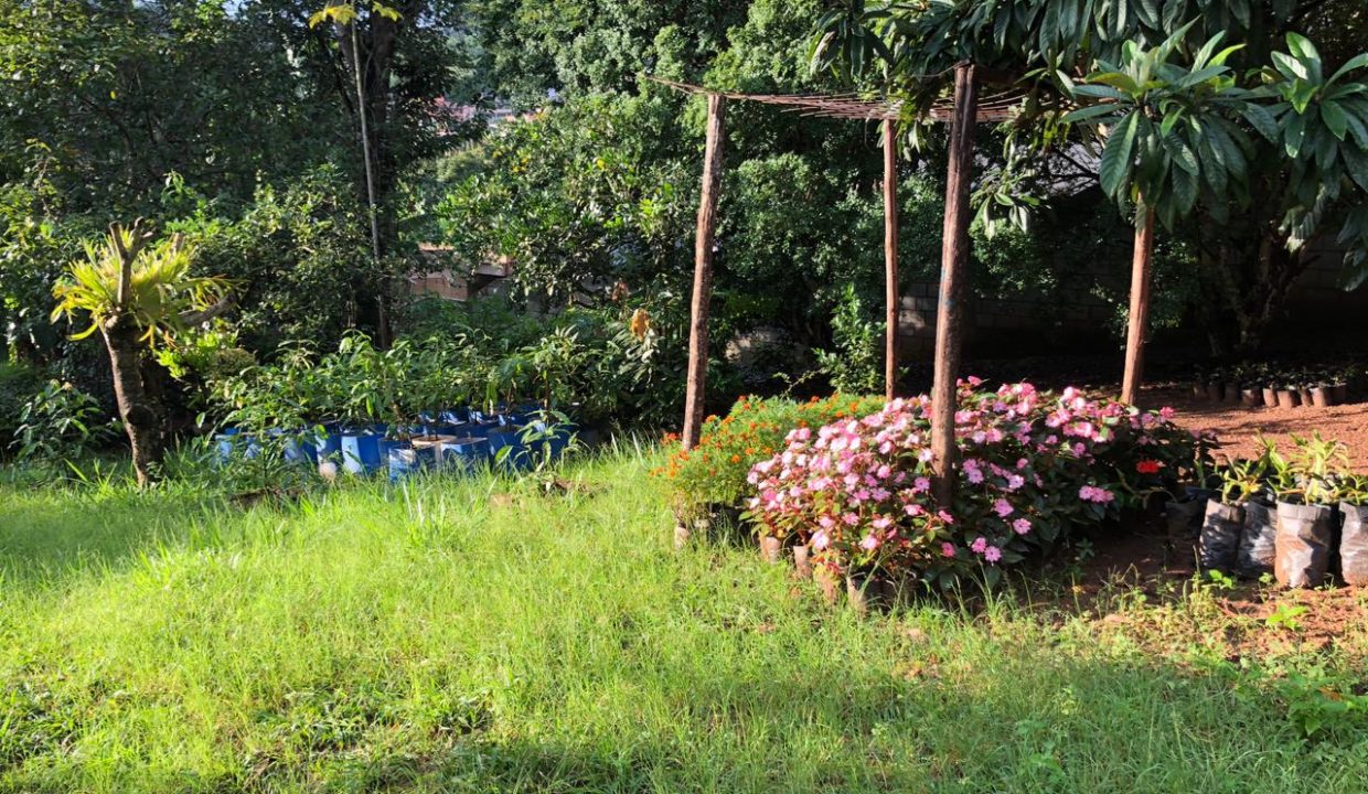 WhatsApp Image 2022-03-12 at 13.10.16 (2)