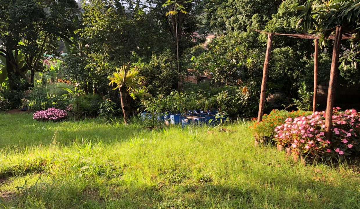 WhatsApp Image 2022-03-12 at 13.10.17 (1)