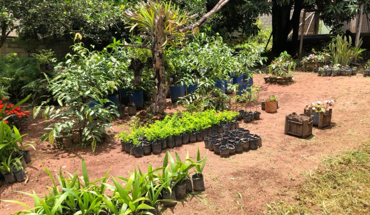 WhatsApp Image 2022-03-12 at 13.10.21 (2)