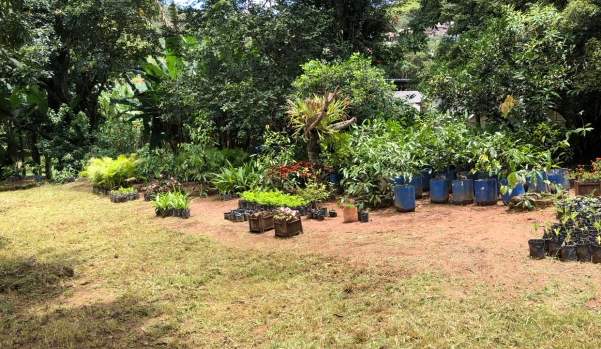 WhatsApp Image 2022-03-12 at 13.10.22 (1)